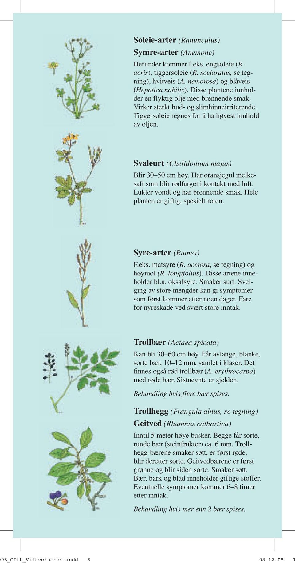 Svaleurt (Chelidonium majus) Blir 30 50 cm høy. Har oransjegul melkesaft som blir rødfarget i kontakt med luft. Lukter vondt og har brennende smak. Hele planten er giftig, spesielt roten.