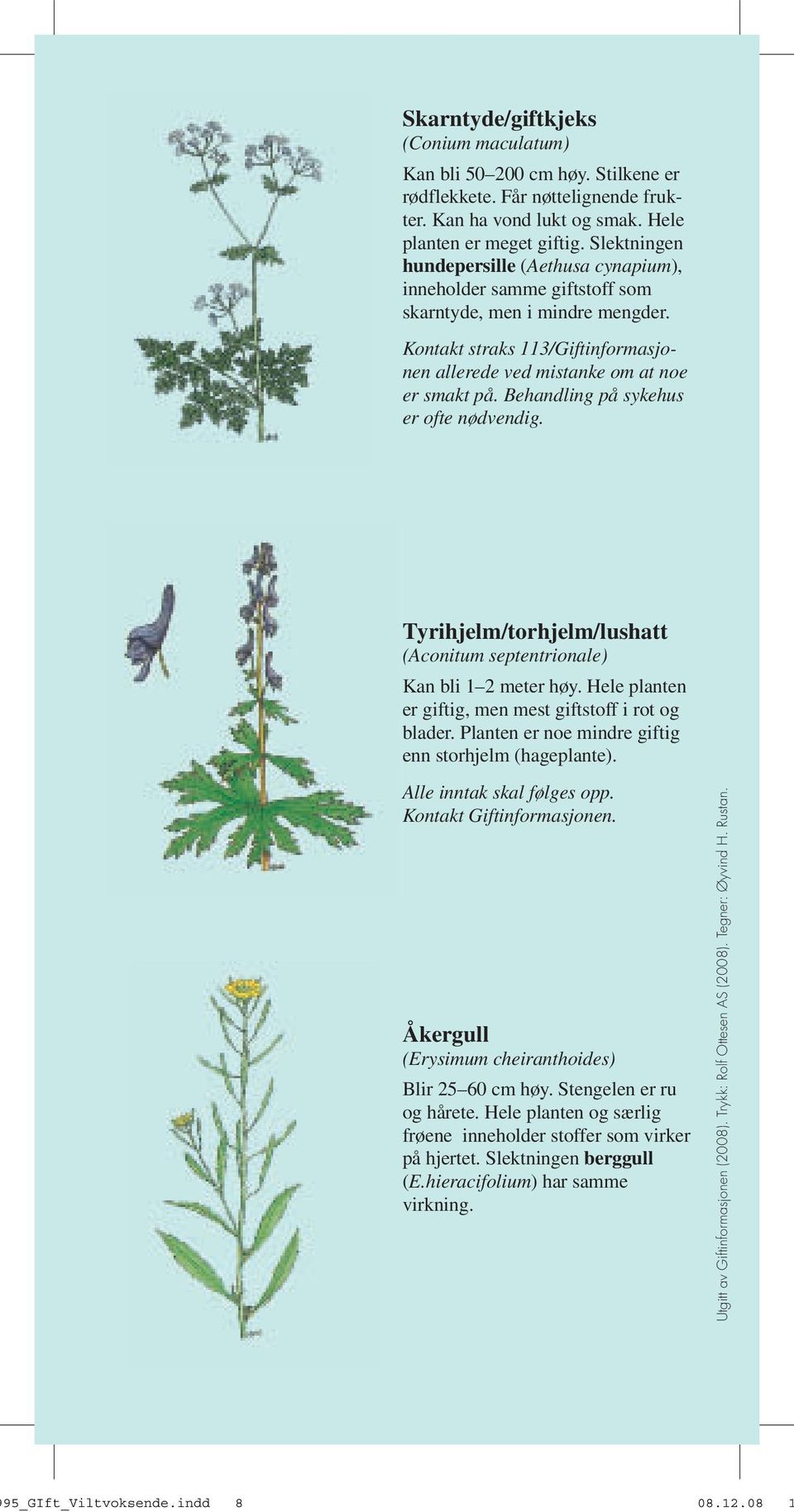 Behandling på sykehus er ofte nødvendig. Tyrihjelm/torhjelm/lushatt (Aconitum septentrionale) Kan bli 1 2 meter høy. Hele planten er giftig, men mest giftstoff i rot og blader.