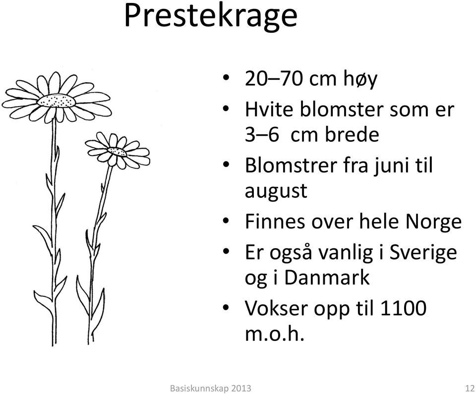 over hele Norge Er også vanlig i Sverige og i