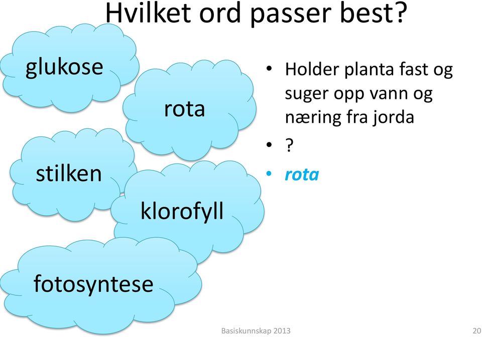 planta fast og suger opp vann og