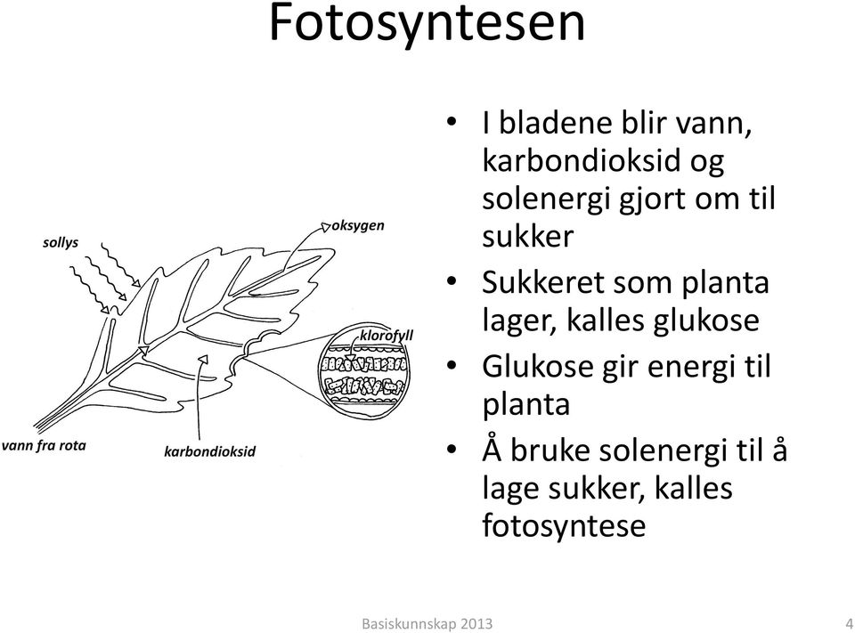 kalles glukose Glukose gir energi til planta Å bruke