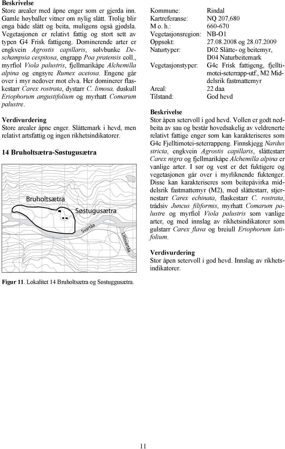 , myrfiol Viola palustris, fjellmarikåpe Alchemilla alpina og engsyre Rumex acetosa. Engene går over i myr nedover mot elva. Her dominerer flaskestarr Carex rostrata, dystarr C.