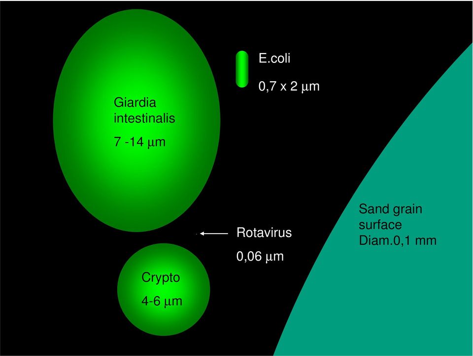 µm Rotavirus 0,06 µm Sand grain