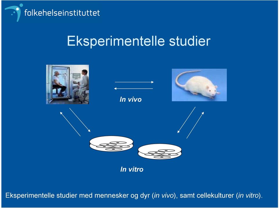 studier med mennesker og dyr