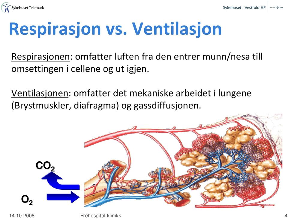 munn/nesa till omsettingen i cellene og ut igjen.