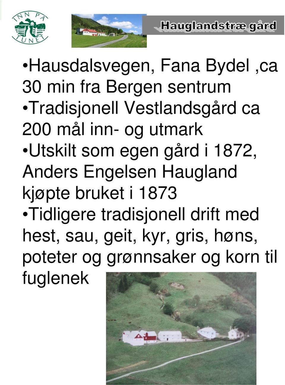 Anders Engelsen Haugland kjøpte bruket i 1873 Tidligere tradisjonell