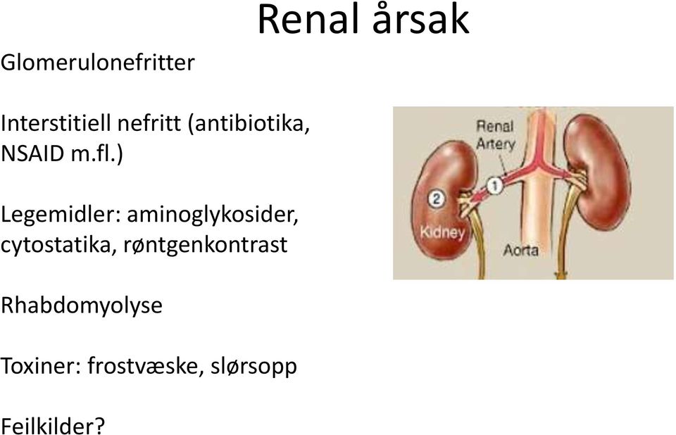 ) Legemidler: aminoglykosider, cytostatika,