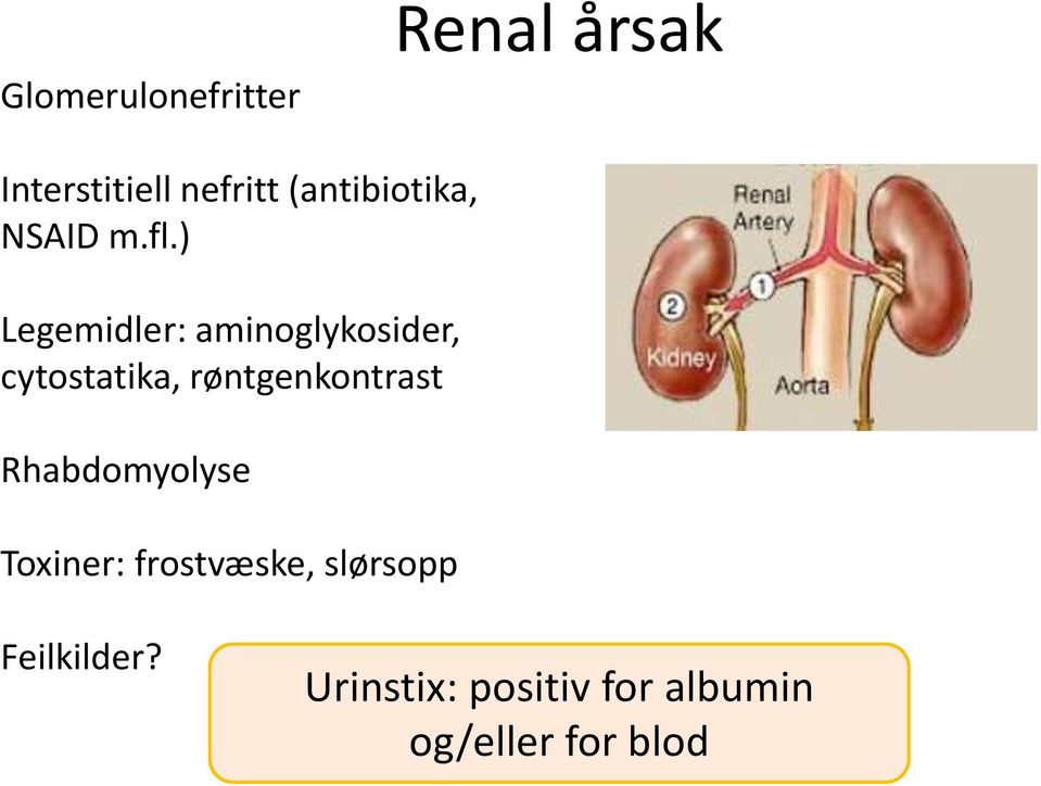 ) Legemidler: aminoglykosider, cytostatika, røntgenkontrast