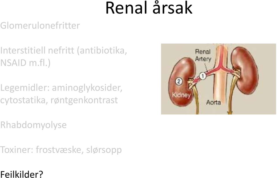 ) Legemidler: aminoglykosider, cytostatika,