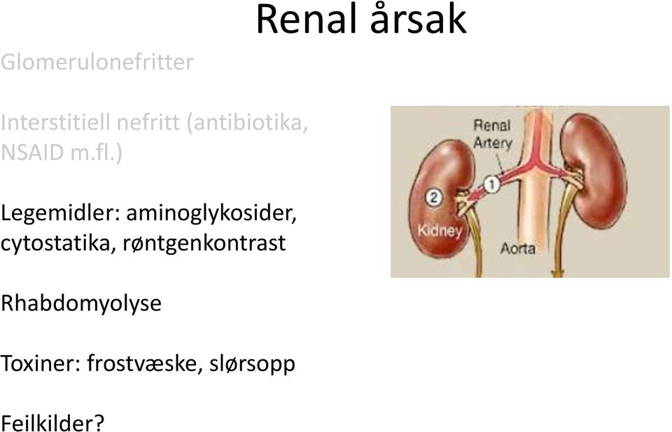 ) Legemidler: aminoglykosider, cytostatika,