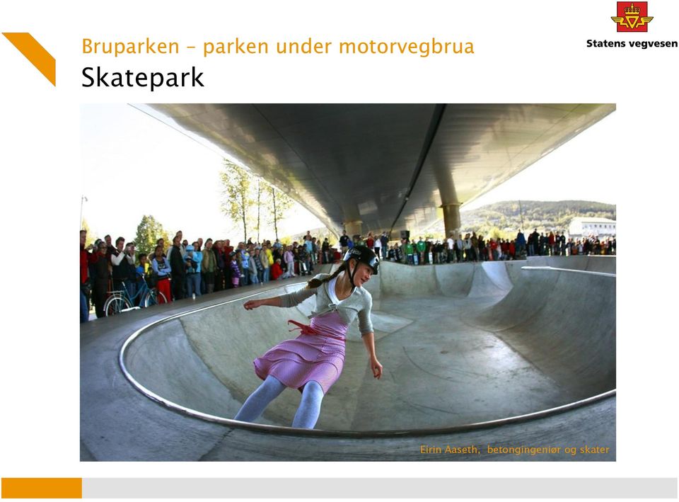 Skatepark Eirin