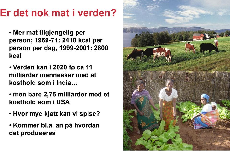 1999-2001: 2800 kcal Verden kan i 2020 fø ca 11 milliarder mennesker med et