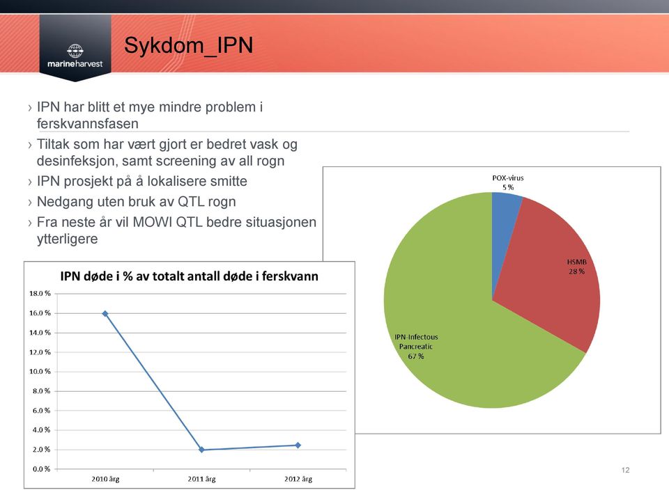 screening av all rogn IPN prosjekt på å lokalisere smitte Nedgang