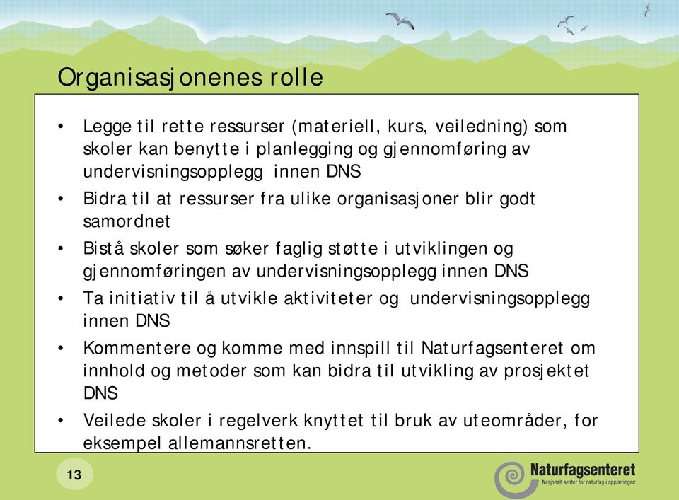 undervisningsopplegg innen DNS Ta initiativ til å utvikle aktiviteter og undervisningsopplegg innen DNS Kommentere og komme med innspill til