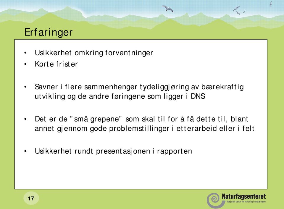 ligger i DNS Det er de små grepene som skal til for å få dette til, blant annet