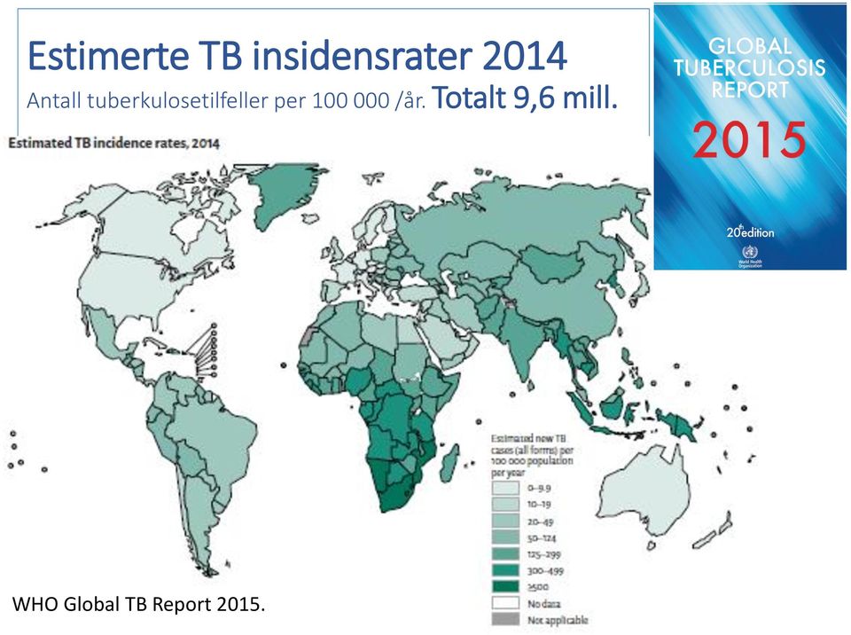 tuberkulosetilfeller per 100