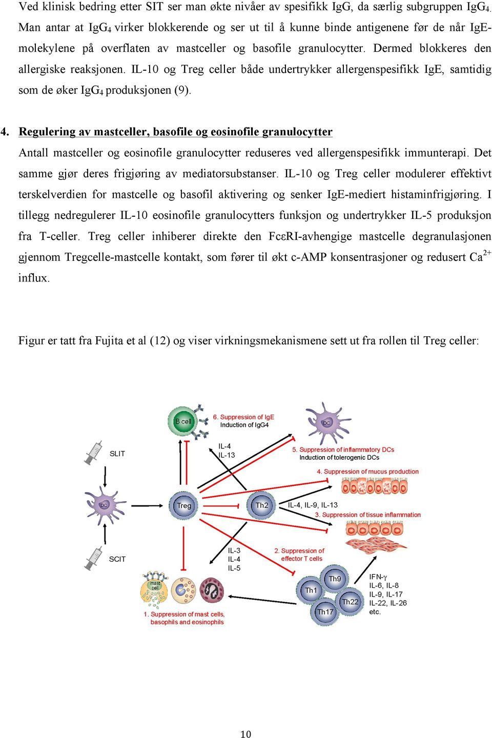 IL-10 og Treg celler både undertrykker allergenspesifikk IgE, samtidig som de øker IgG 4 