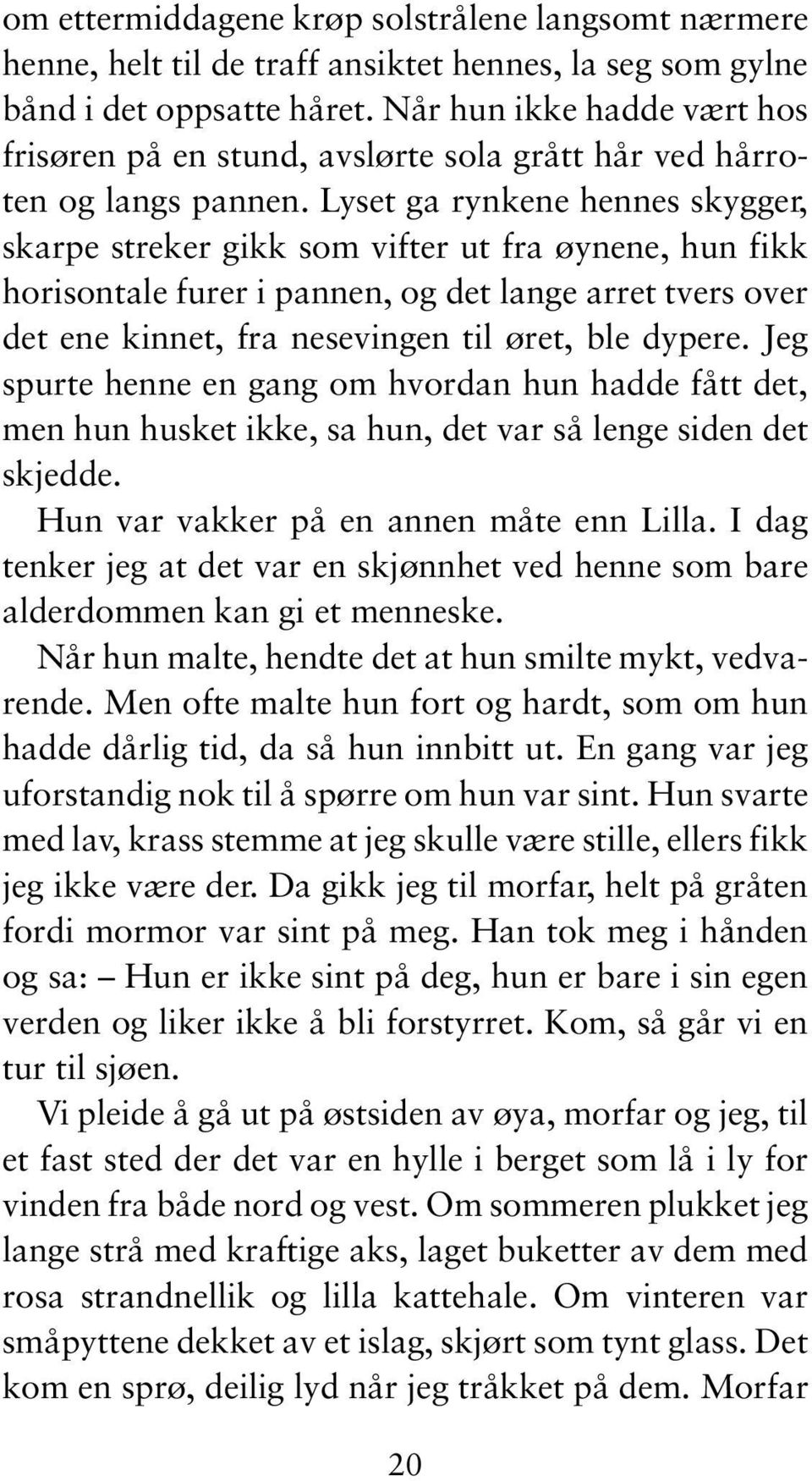 Lyset ga rynkene hennes skygger, skarpe streker gikk som vifter ut fra øynene, hun fikk horisontale furer i pannen, og det lange arret tvers over det ene kinnet, fra nesevingen til øret, ble dypere.