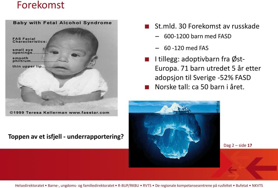 tillegg: adoptivbarn fra Øst- Europa.