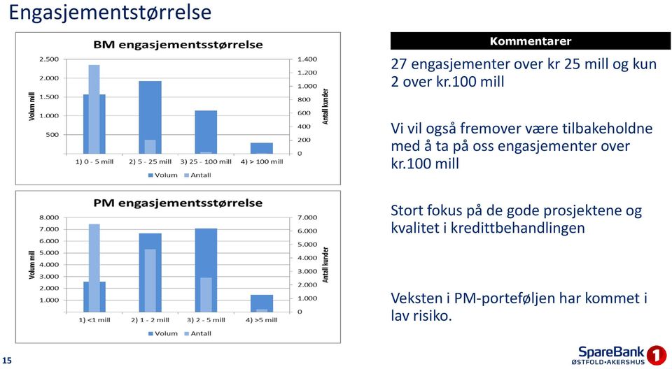 100 mill Vi vil også fremover være tilbakeholdne med å ta på oss engasjementer