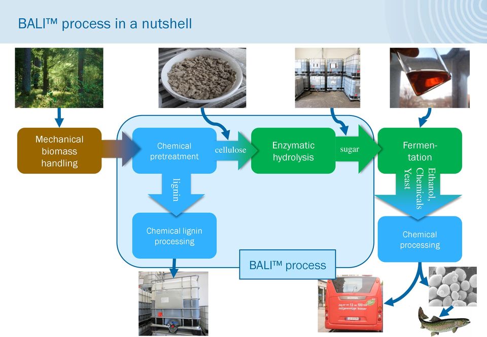 hydrolysis sugar Fermentation Ethanol, Chemicals Yeast