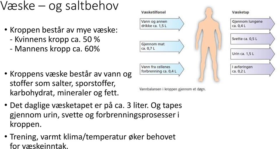 60% Kroppens væske består av vann og stoffer som salter, sporstoffer, karbohydrat,