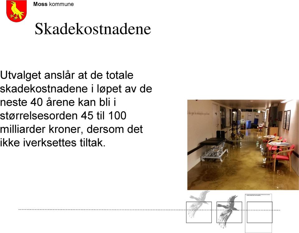 årene kan bli i størrelsesorden 45 til 100