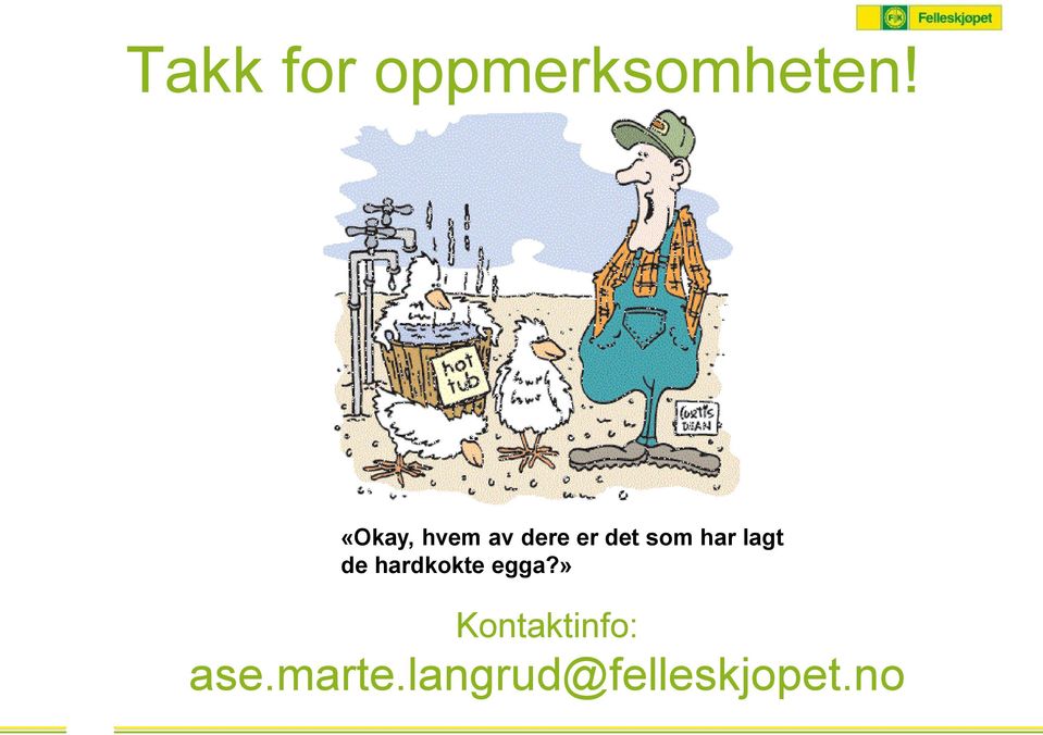 har lagt de hardkokte egga?