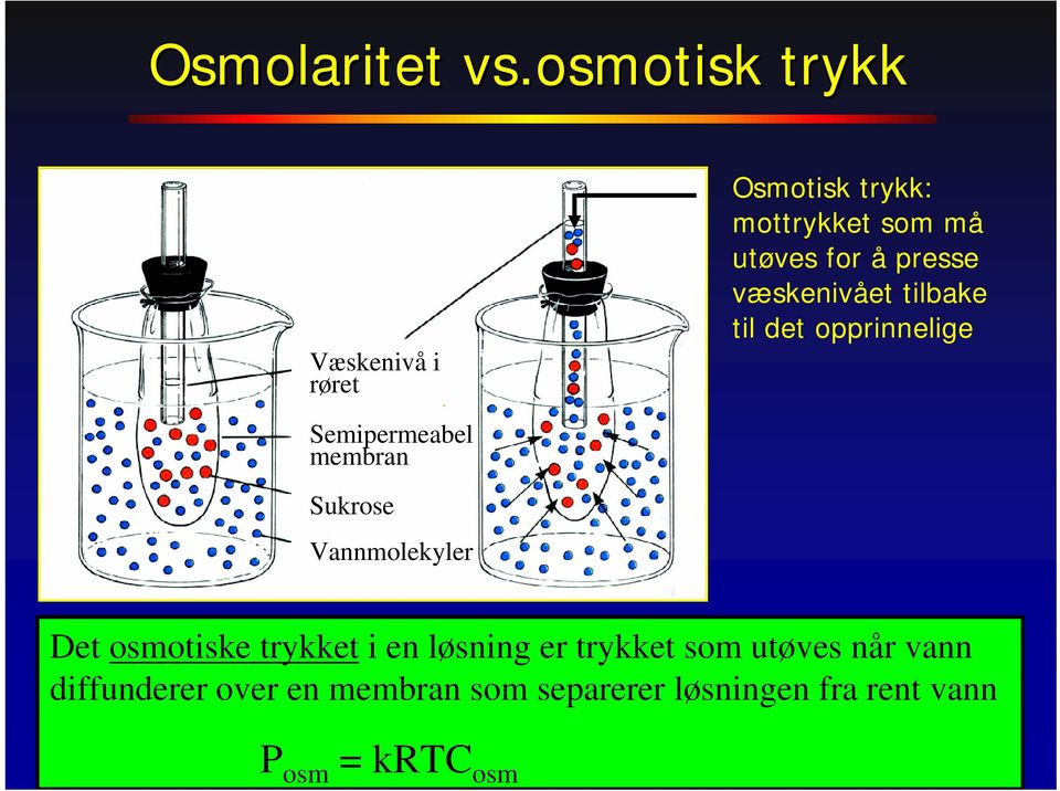 presse væskenivået tilbake til det opprinnelige Semipermeabel membran Sukrose