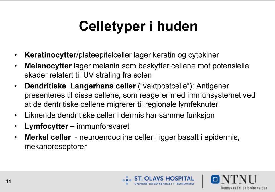 cellene, som reagerer med immunsystemet ved at de dentritiske cellene migrerer til regionale lymfeknuter.