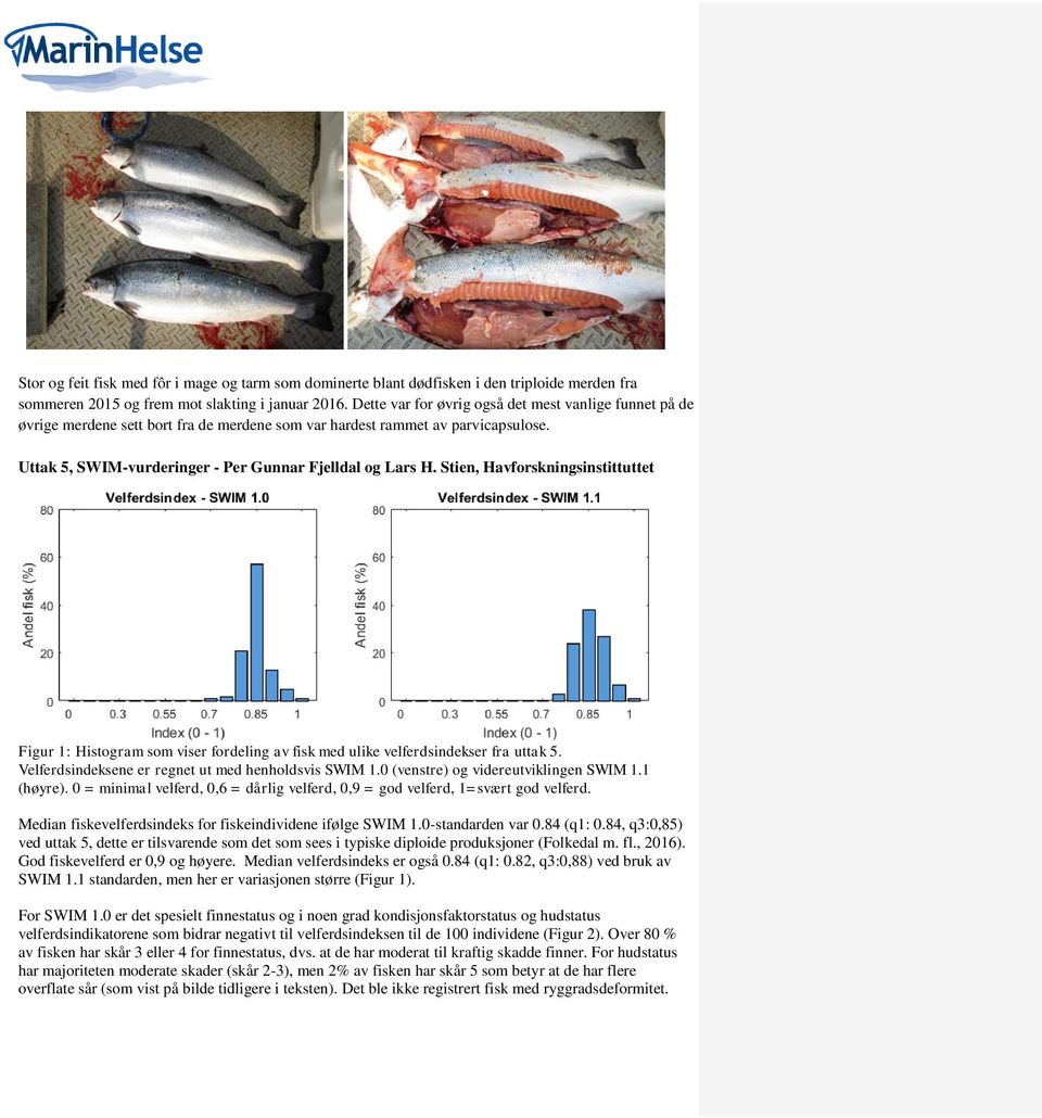 Stien, Havforskningsinstittuttet Figur 1: Histogram som viser fordeling av fisk med ulike velferdsindekser fra uttak 5. Velferdsindeksene er regnet ut med henholdsvis SWIM 1.