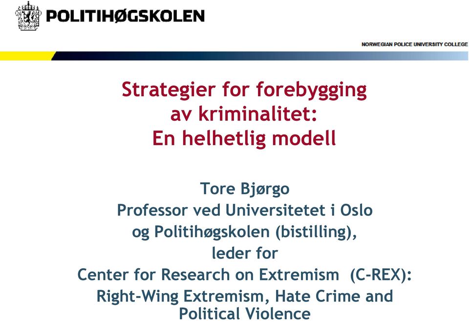 Politihøgskolen (bistilling), leder for Center for Research on