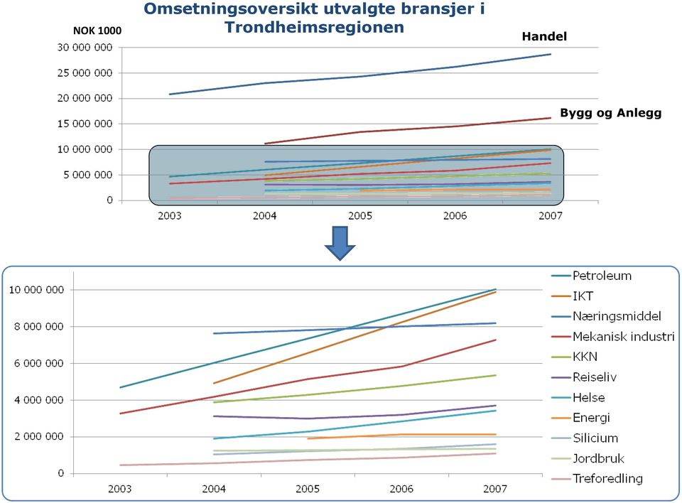 utvalgte bransjer i