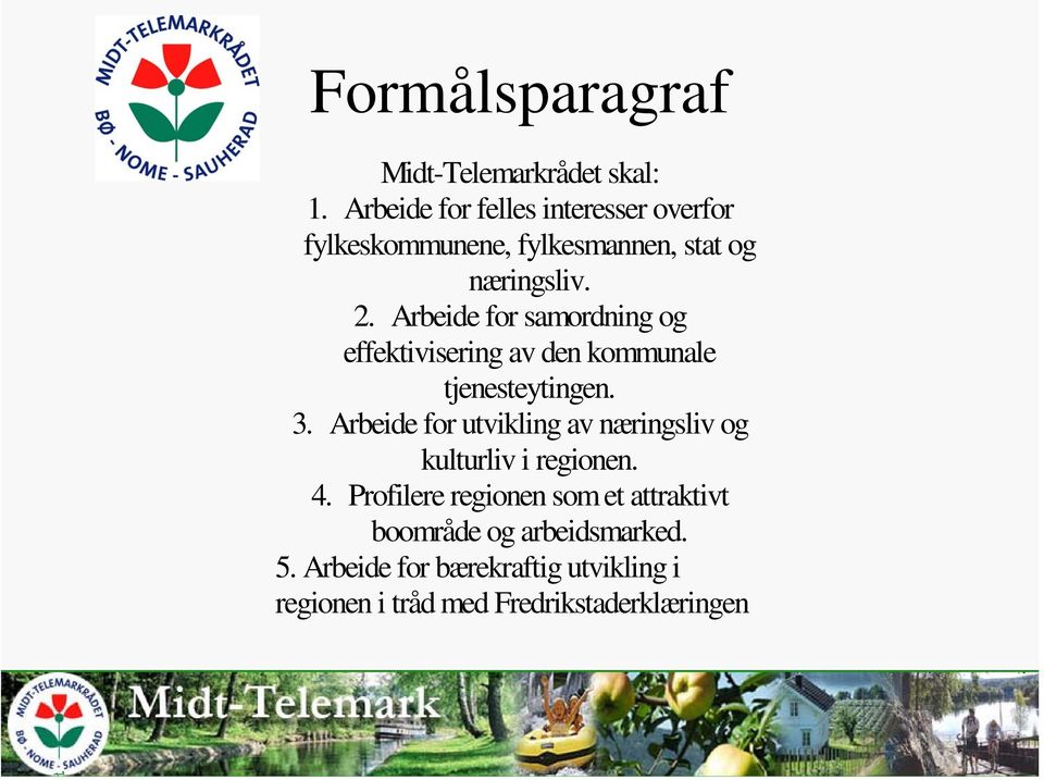 Arbeide for samordning og effektivisering av den kommunale tjenesteytingen. 3.