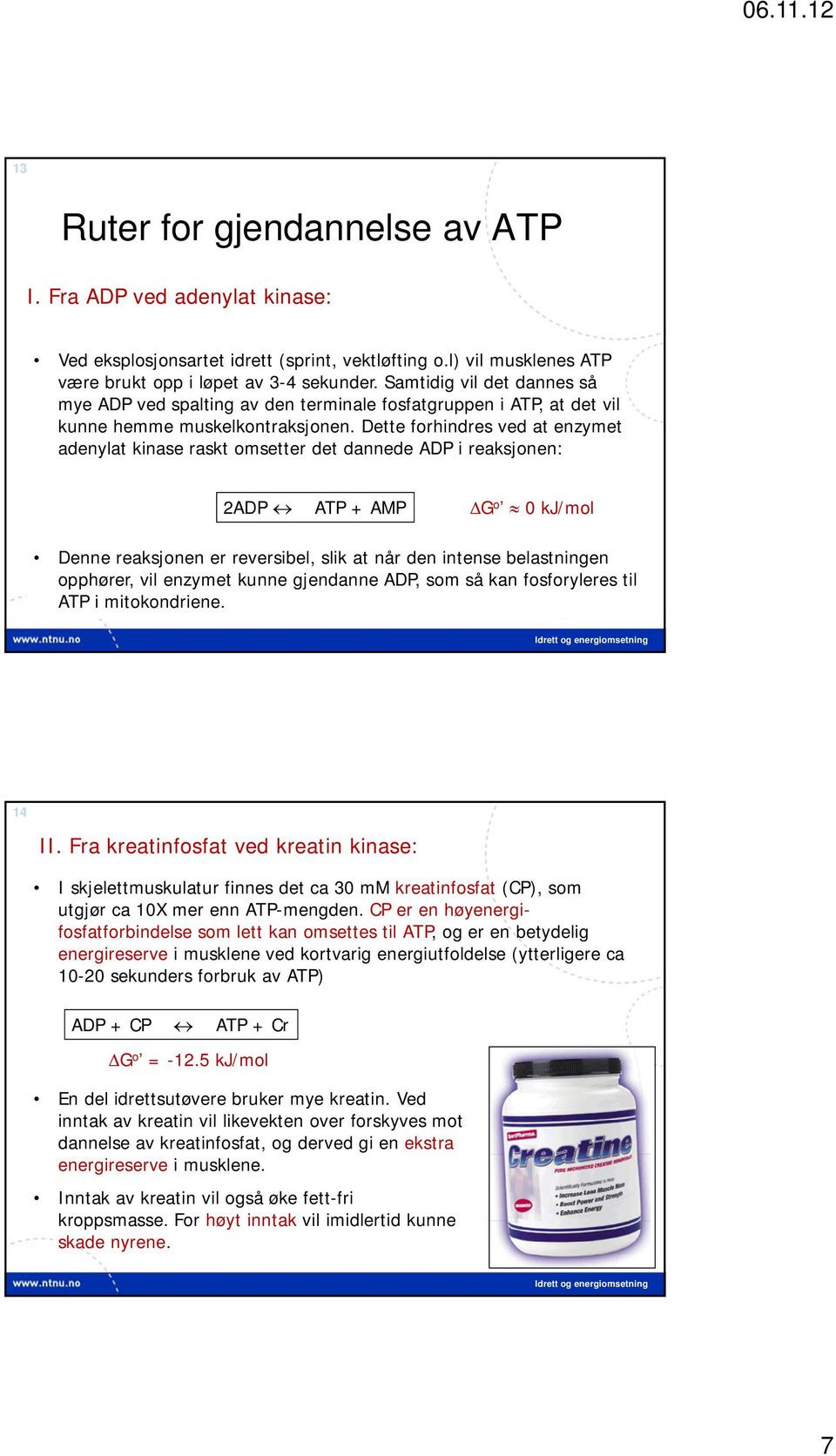 Dette forhindres ved at enzymet adenylat kinase raskt omsetter det dannede ADP i reaksjonen: 2ADP ATP + AMP G o 0kJ/mol Denne reaksjonen er reversibel, slik at når den intense belastningen opphører,