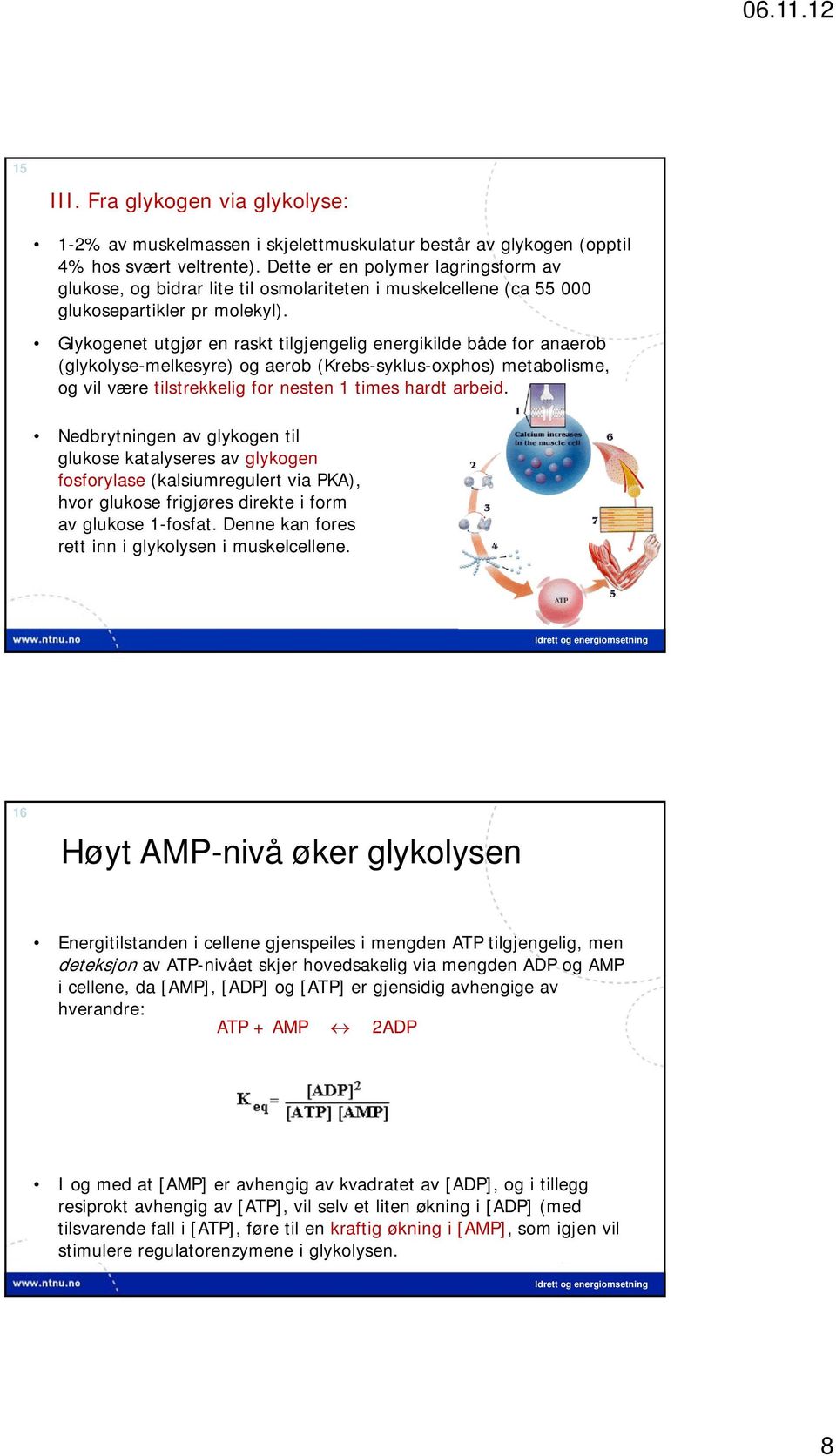 Glykogenet utgjør en raskt tilgjengelig energikilde både for anaerob (glykolyse-melkesyre) og aerob (Krebs-syklus-oxphos) metabolisme, og vil være tilstrekkelig for nesten 1 times hardt arbeid.