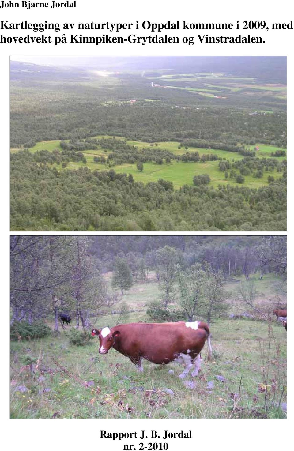 med hovedvekt på Kinnpiken-Grytdalen