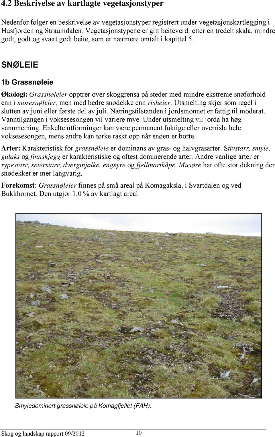 SNØLEIE 1b Grassnøleie Økologi: Grassnøleier opptrer over skoggrensa på steder med mindre ekstreme snøforhold enn i mosesnøleier, men med bedre snødekke enn risheier.