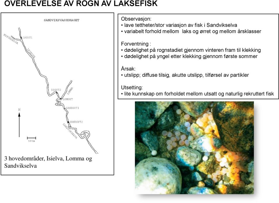 dødelighet på yngel etter klekking gjennom første sommer Årsak: utslipp; diffuse tilsig, akutte utslipp, tilførsel av