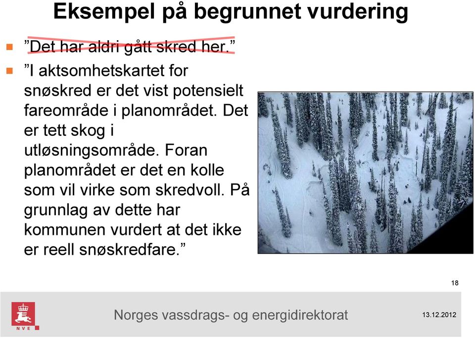 Det er tett skog i utløsningsområde.