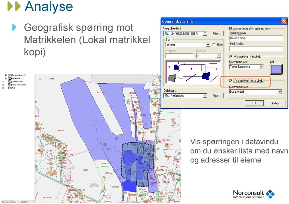 Vis spørringen i datavindu om du