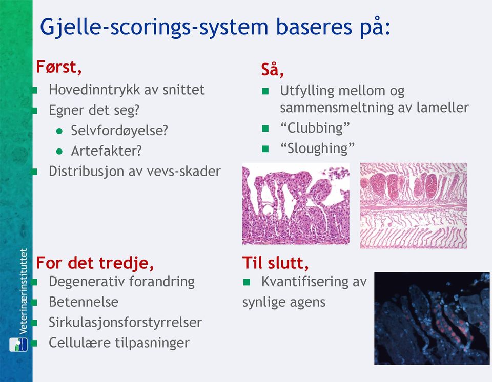 Distribusjon av vevs-skader Så, Utfylling mellom og sammensmeltning av lameller