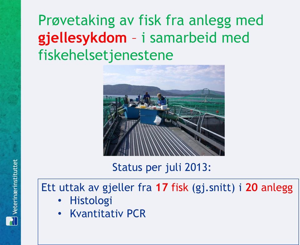 fiskehelsetjenestene Status per juli 2013: Ett