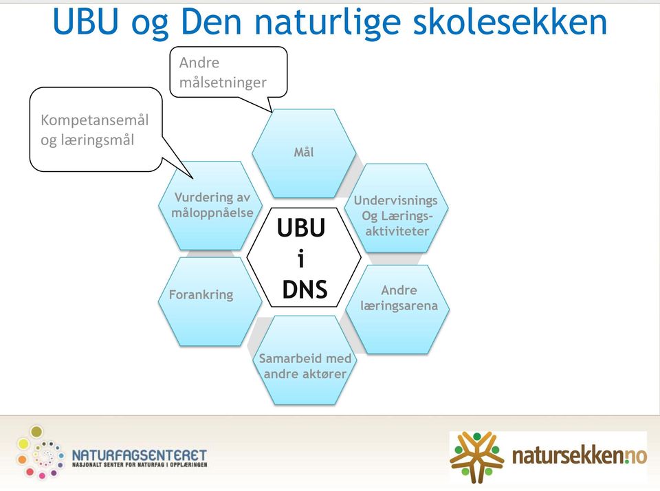 måloppnåelse Forankring UBU i DNS Undervisnings Og