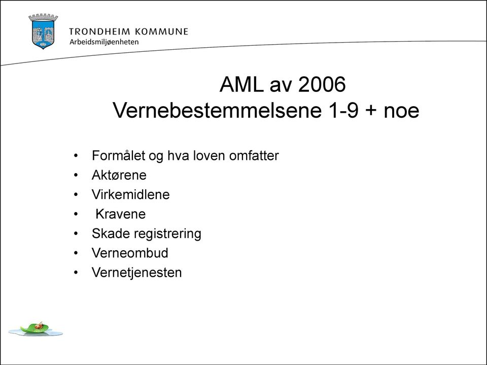 Aktørene Virkemidlene Kravene Skade