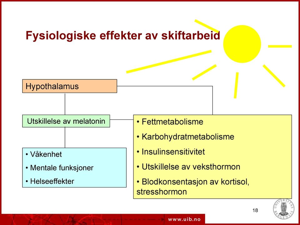 Fettmetabolisme Karbohydratmetabolisme Insulinsensitivitet