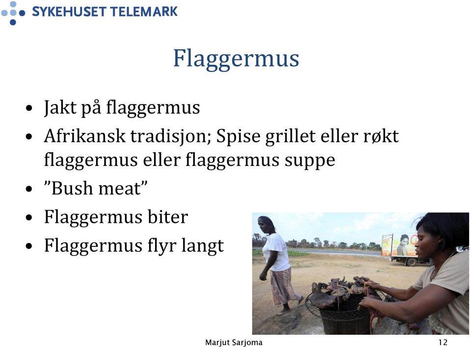 flaggermus eller flaggermus suppe Bush meat