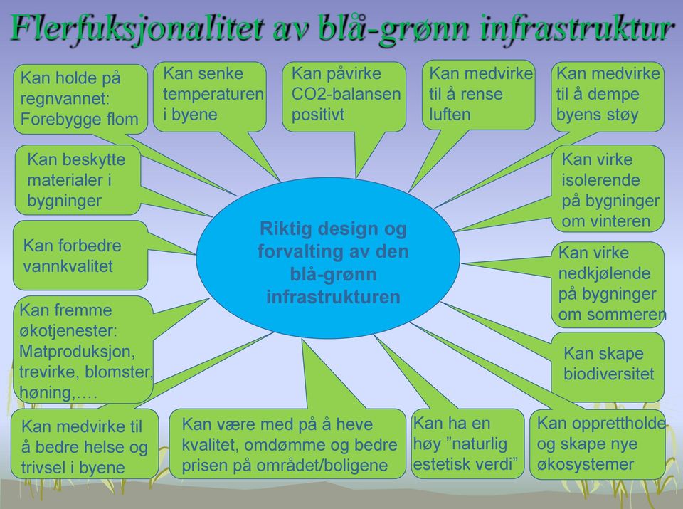 Kan medvirke til å bedre helse og trivsel i byene Riktig design og forvalting av den blå-grønn infrastrukturen Kan være med på å heve kvalitet, omdømme og bedre prisen på