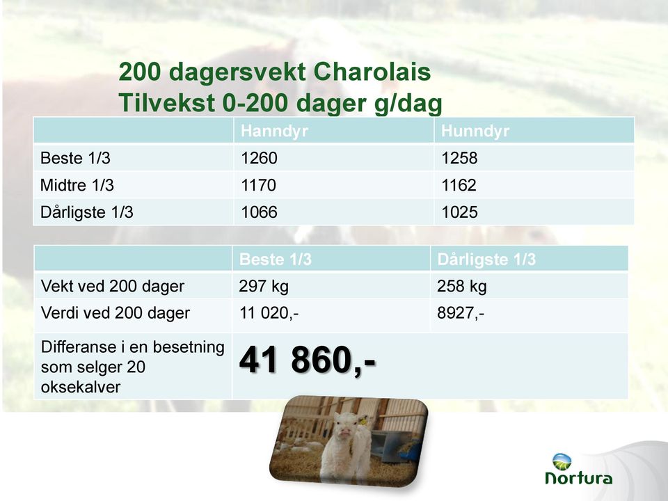 1/3 Dårligste 1/3 Vekt ved 200 dager 297 kg 258 kg Verdi ved 200 dager