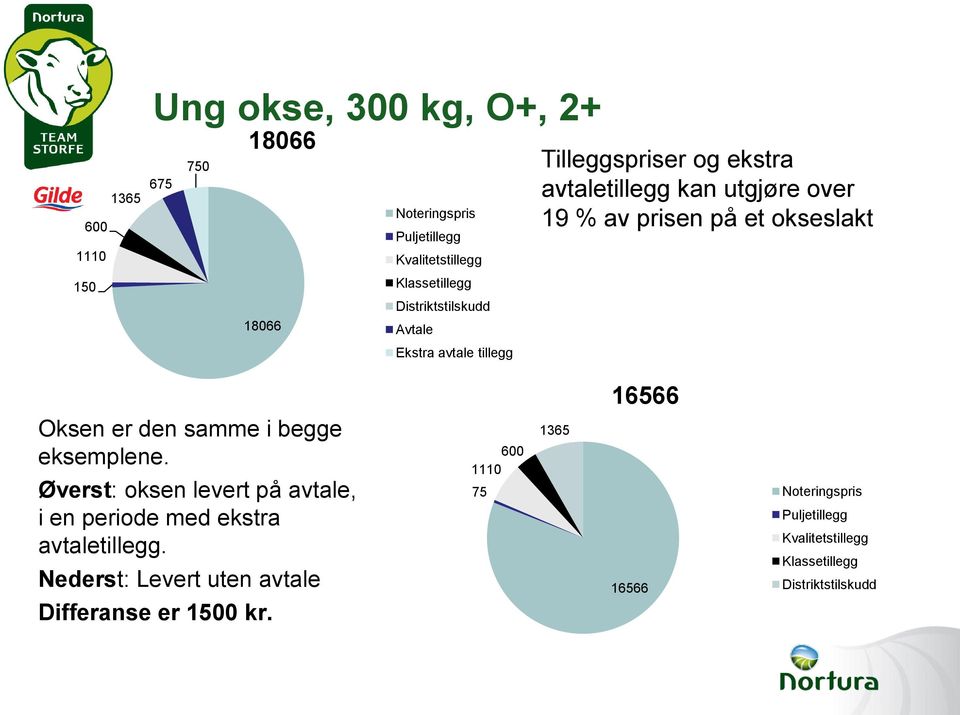 okseslakt Oksen er den samme i begge eksemplene. Øverst: oksen levert på avtale, i en periode med ekstra avtaletillegg.